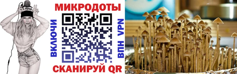 Псилоцибиновые грибы GOLDEN TEACHER  Ермолино 
